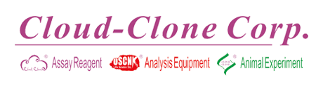 Cloud-Clone